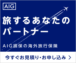 AIG損害保険