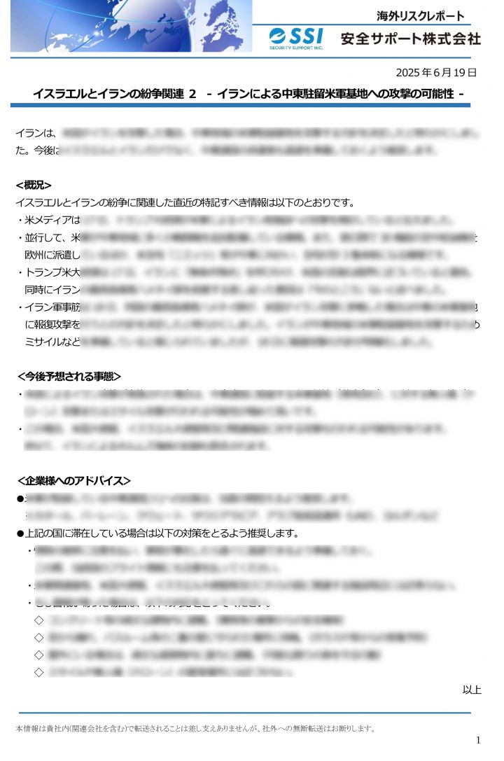 リスクレポート見本